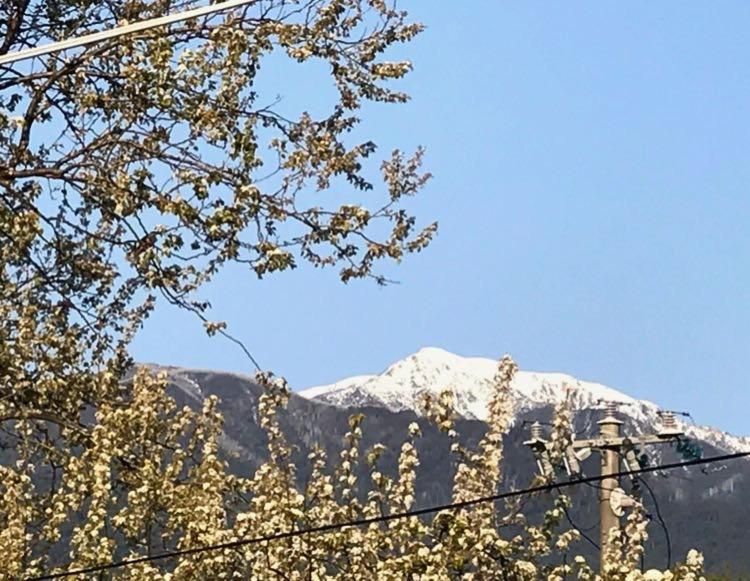 The Ginger Bread House Leilighet Mount Beauty Eksteriør bilde